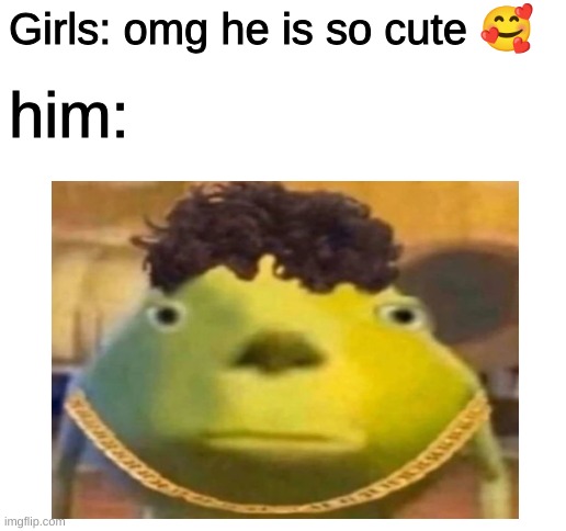 but why, why would you do that? | Girls: omg he is so cute 🥰; him: | image tagged in blank white template,mike wazowski | made w/ Imgflip meme maker