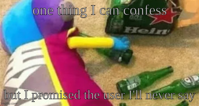 the user has deleted a while ago btw | one thing I can confess; but I promised the user I'll never say | image tagged in idiot | made w/ Imgflip meme maker