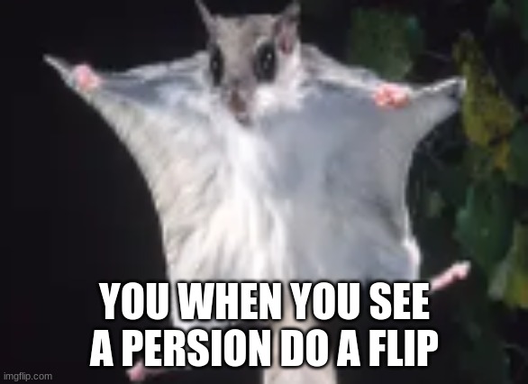 what the | YOU WHEN YOU SEE A PERSION DO A FLIP | image tagged in memes,flying | made w/ Imgflip meme maker