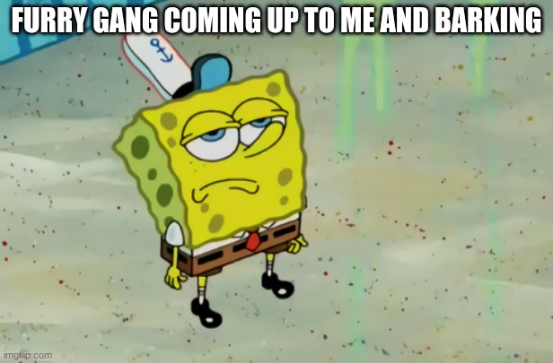 Nah... | FURRY GANG COMING UP TO ME AND BARKING | image tagged in spongebob not scared | made w/ Imgflip meme maker