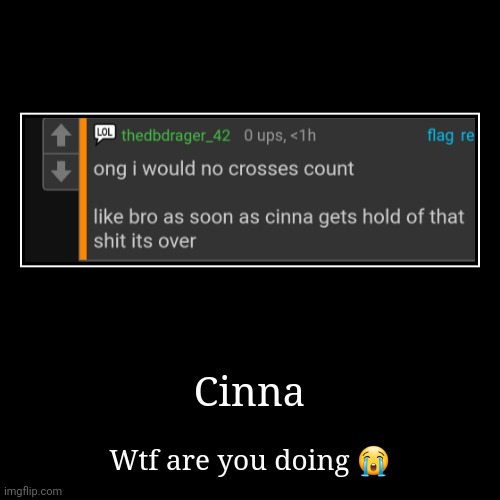 Cinna | Wtf are you doing ? | image tagged in funny,demotivationals | made w/ Imgflip demotivational maker