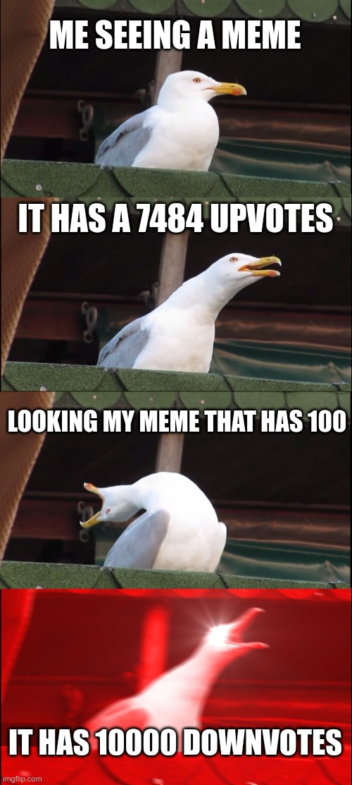 life is hard | ME SEEING A MEME; IT HAS A 7484 UPVOTES; LOOKING MY MEME THAT HAS 100; IT HAS 10000 DOWNVOTES | image tagged in memes,inhaling seagull | made w/ Imgflip meme maker