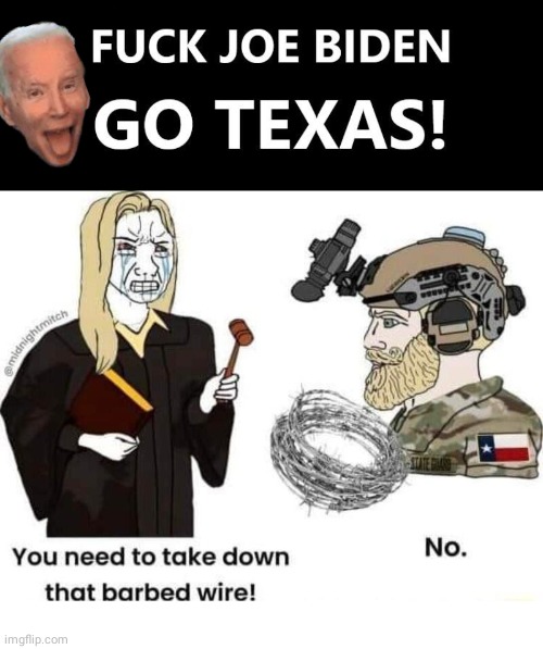 Go Texas F Brandon | image tagged in joe biden,texas | made w/ Imgflip meme maker