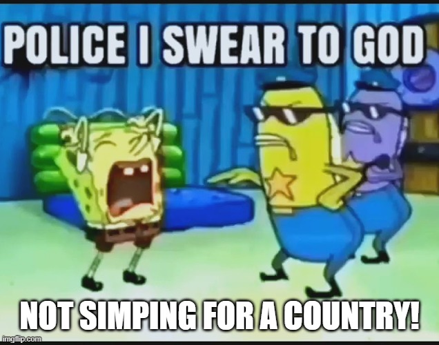 When you simp for countryhumans | NOT SIMPING FOR A COUNTRY! | image tagged in police i swear to god | made w/ Imgflip meme maker