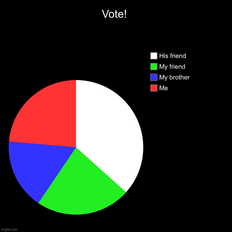 Vote! | Me, My brother, My friend, His friend | image tagged in charts,pie charts | made w/ Imgflip chart maker