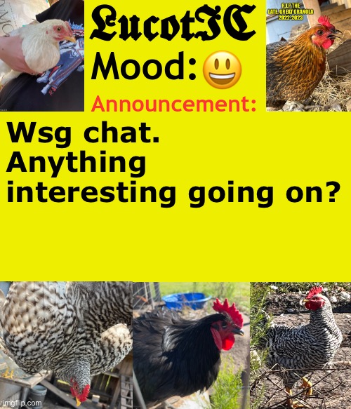 Gay emoji | 😃; Wsg chat. Anything interesting going on? | image tagged in lucotic's cocks announcement template | made w/ Imgflip meme maker