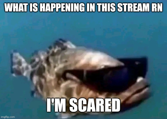 Hi | WHAT IS HAPPENING IN THIS STREAM RN; I'M SCARED | image tagged in hi | made w/ Imgflip meme maker