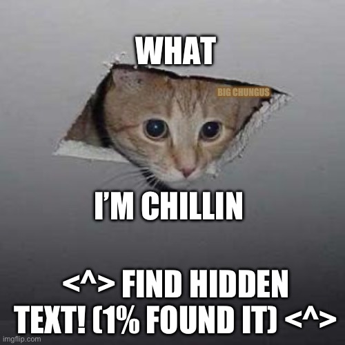 Ceiling Cat Meme | WHAT; BIG CHUNGUS; I’M CHILLIN; <^> FIND HIDDEN TEXT! (1% FOUND IT) <^> | image tagged in memes,ceiling cat | made w/ Imgflip meme maker