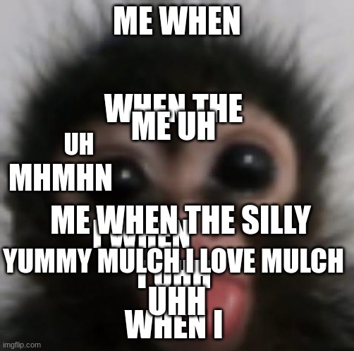 hehe ^ ^ | ME WHEN; WHEN THE; ME UH; UH; MHMHN; ME WHEN THE SILLY; I WHEN; YUMMY MULCH I LOVE MULCH; I UHH; WHEN I; UHH | image tagged in silly | made w/ Imgflip meme maker