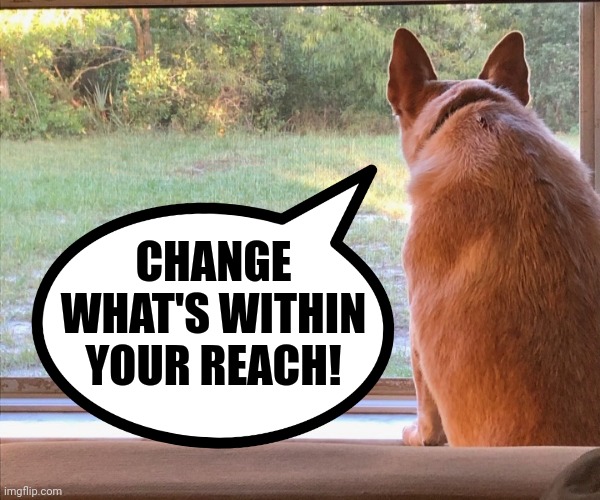 Squirrel | CHANGE WHAT'S WITHIN YOUR REACH! | image tagged in squirrel | made w/ Imgflip meme maker