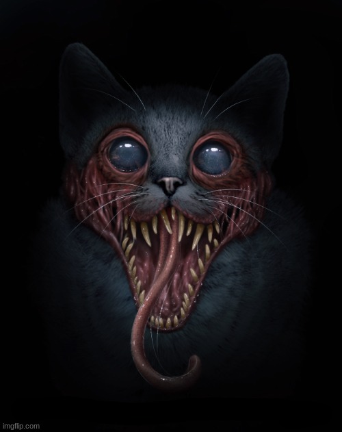 scary cat Blank Meme Template