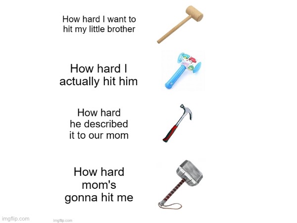 How hard I hit him | image tagged in hammer | made w/ Imgflip meme maker