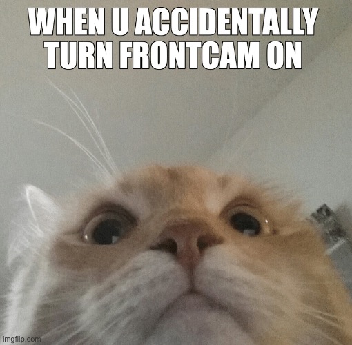 Mwaster~ | made w/ Imgflip meme maker
