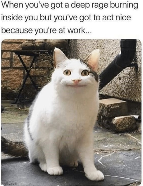 I’m gonna get my manager fired istg, mf doesn’t do nothing at work smh, they’re even the same grade as me bruh | made w/ Imgflip meme maker