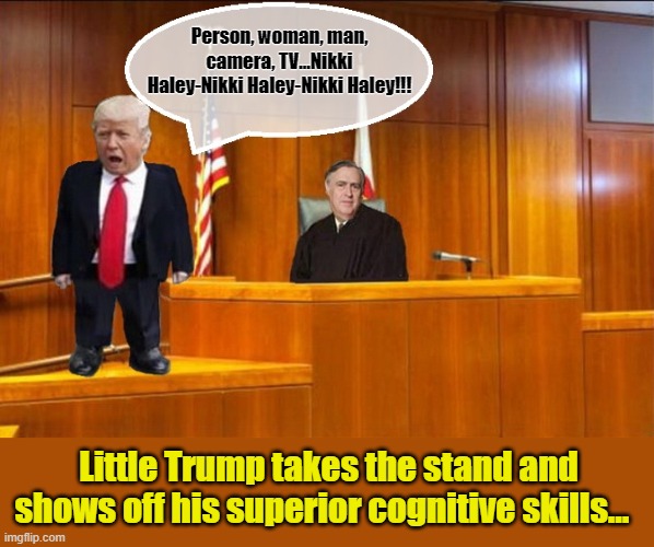 Meanwhile in Court...Judge Lewis Kaplan ponders a 'Time Out'... | Person, woman, man, camera, TV...Nikki Haley-Nikki Haley-Nikki Haley!!! Little Trump takes the stand and shows off his superior cognitive skills... | image tagged in donald trump,donald trump the clown,election,trump is a moron | made w/ Imgflip meme maker