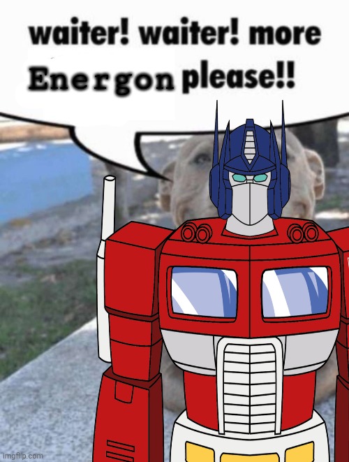 waiter! pit bull | Energon | image tagged in waiter pit bull | made w/ Imgflip meme maker