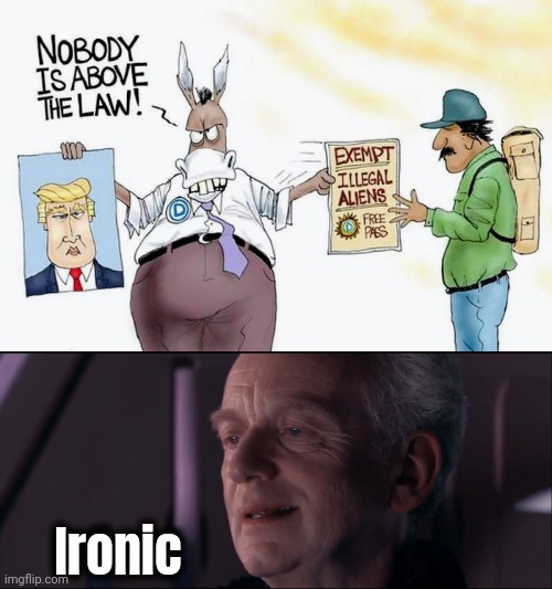 Can you see it ? | Ironic | image tagged in palpatine ironic,irony,hypocrisy,why not both,liberal logic,demonrats | made w/ Imgflip meme maker