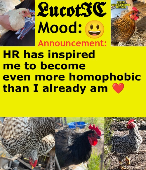 . | 😃; HR has inspired me to become even more homophobic than I already am ❤ | image tagged in lucotic's cocks announcement template | made w/ Imgflip meme maker