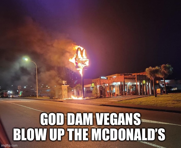 Can you build another we forget to how build one | GOD DAM VEGANS BLOW UP THE MCDONALD’S | image tagged in mcdonald's sign on fire | made w/ Imgflip meme maker