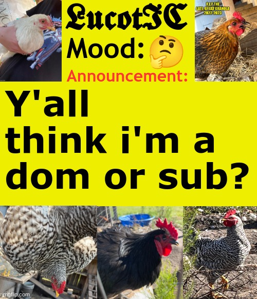 . | 🤔; Y'all think i'm a dom or sub? | image tagged in lucotic's cocks announcement template | made w/ Imgflip meme maker
