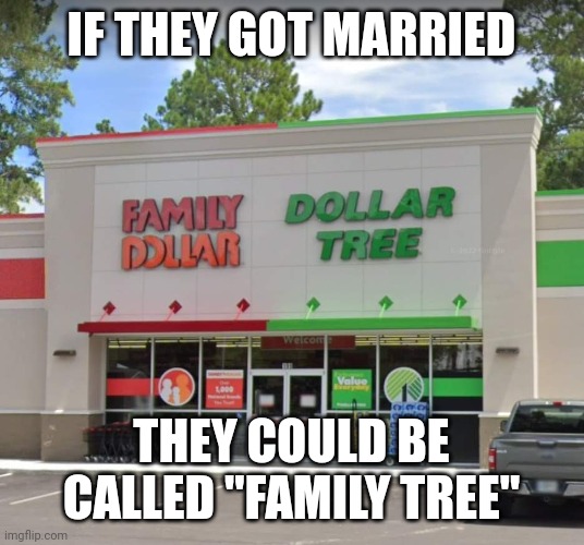Family Dollar Tree | IF THEY GOT MARRIED; THEY COULD BE CALLED "FAMILY TREE" | image tagged in dollar store,dollar tree,meme,funny memes | made w/ Imgflip meme maker