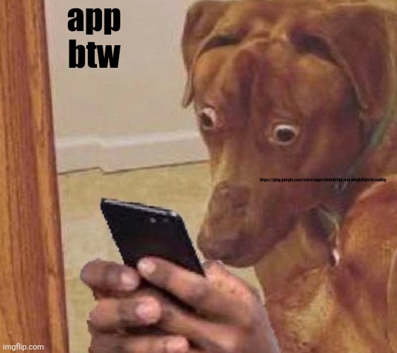 shocked dog | app btw; https://play.google.com/store/apps/details?id=net.wrightflyer.le.reality | image tagged in shocked dog | made w/ Imgflip meme maker