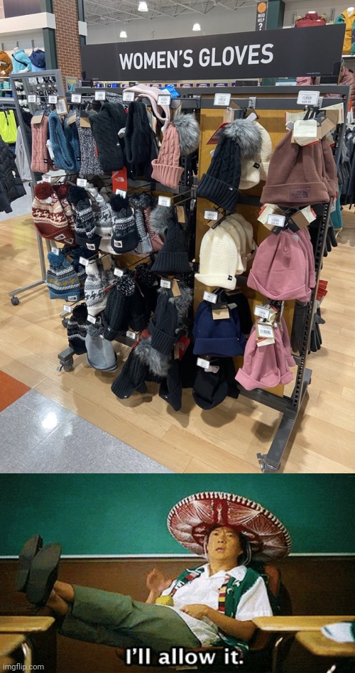 Not all of those are gloves, but I would wear those | image tagged in i ll allow it,gloves,glove,you had one job,memes,store | made w/ Imgflip meme maker