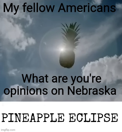 PINEAPPLE_ECLIPSE | My fellow Americans; What are you're opinions on Nebraska | image tagged in pineapple_eclipse | made w/ Imgflip meme maker