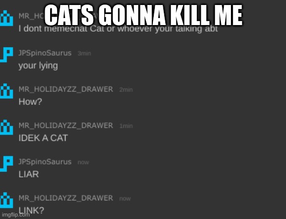 ??? | CATS GONNA KILL ME | image tagged in m | made w/ Imgflip meme maker