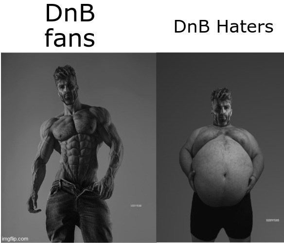 Haters VS Fans | DnB fans; DnB Haters | image tagged in self image vs reality gigachad,dave and bambi,haters,fans,sigma | made w/ Imgflip meme maker