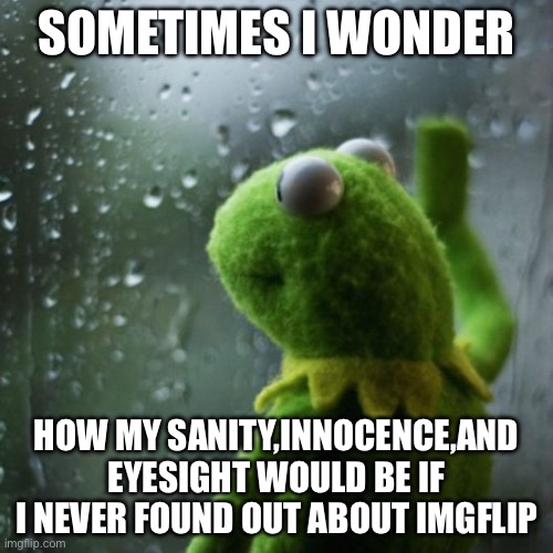 sometimes I wonder  | SOMETIMES I WONDER; HOW MY SANITY,INNOCENCE,AND EYESIGHT WOULD BE IF I NEVER FOUND OUT ABOUT IMGFLIP | image tagged in sometimes i wonder | made w/ Imgflip meme maker