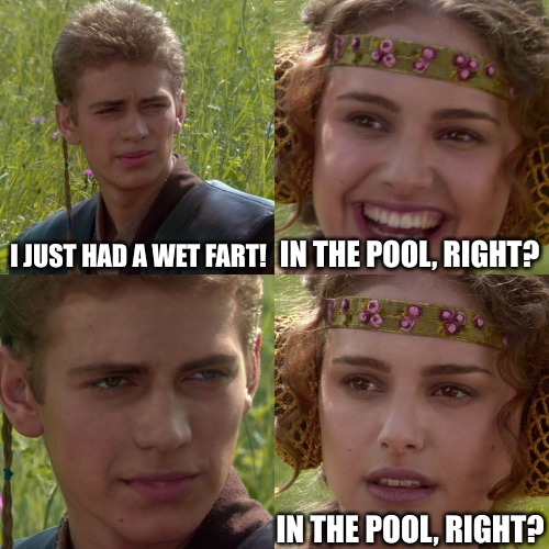 Wet farts | I JUST HAD A WET FART! IN THE POOL, RIGHT? IN THE POOL, RIGHT? | image tagged in anakin padme 4 panel | made w/ Imgflip meme maker