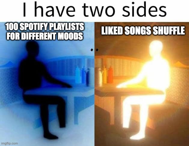 Spotify in a nutshell | 100 SPOTIFY PLAYLISTS FOR DIFFERENT MOODS; LIKED SONGS SHUFFLE | image tagged in i have two sides,spotify,playlist,mood | made w/ Imgflip meme maker