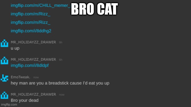 M | BRO CAT | image tagged in m | made w/ Imgflip meme maker