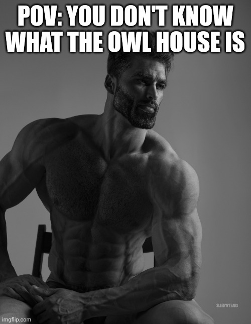 Giga Chad | POV: YOU DON'T KNOW WHAT THE OWL HOUSE IS | image tagged in giga chad | made w/ Imgflip meme maker