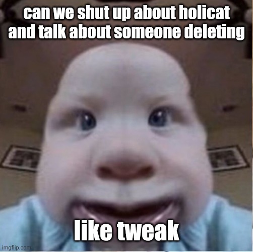 baab | can we shut up about holicat and talk about someone deleting; like tweak | image tagged in baab | made w/ Imgflip meme maker