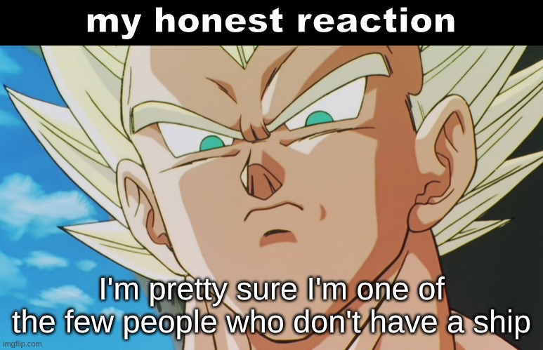 Vegeta my honest reaction | I'm pretty sure I'm one of the few people who don't have a ship | image tagged in vegeta my honest reaction | made w/ Imgflip meme maker