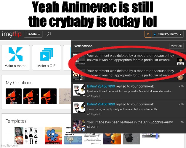 Lol he’s still being a crybaby | Yeah Animevac is still the crybaby is today lol | image tagged in animevac,mepios,loser,crybaby,crybabies | made w/ Imgflip meme maker