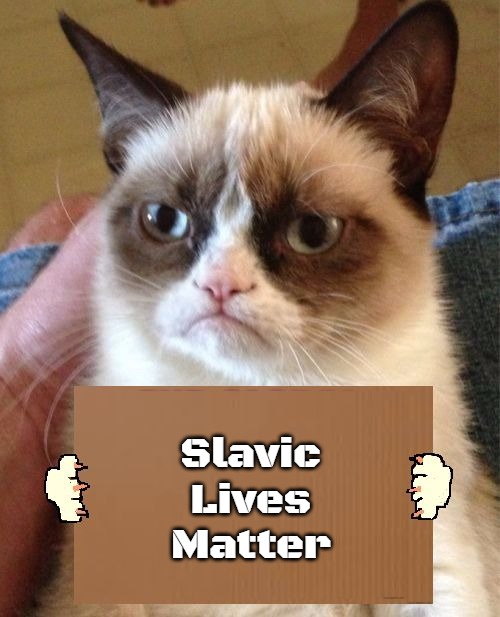 Grumpy Cat Cardboard Sign | Slavic Lives Matter | image tagged in grumpy cat cardboard sign,slavic | made w/ Imgflip meme maker