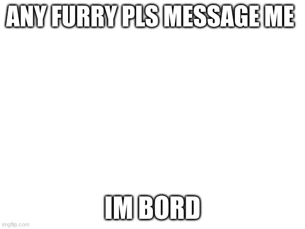 ANY FURRY PLS MESSAGE ME; IM BORD | image tagged in left exit 12 off ramp | made w/ Imgflip meme maker