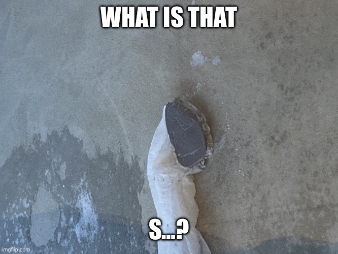 Cooked Earth Iron | WHAT IS THAT; S…? | image tagged in cooked earth iron | made w/ Imgflip meme maker