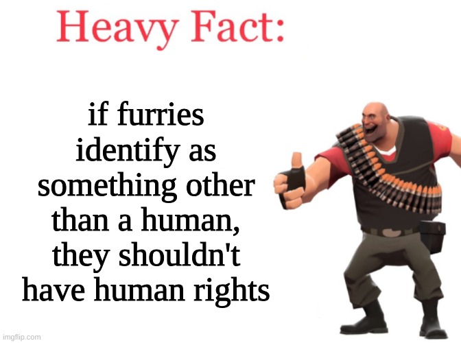 ok, before you rant in the comments about how i'm wrong, it's a joke. | if furries identify as something other than a human, they shouldn't have human rights | image tagged in heavy fact | made w/ Imgflip meme maker