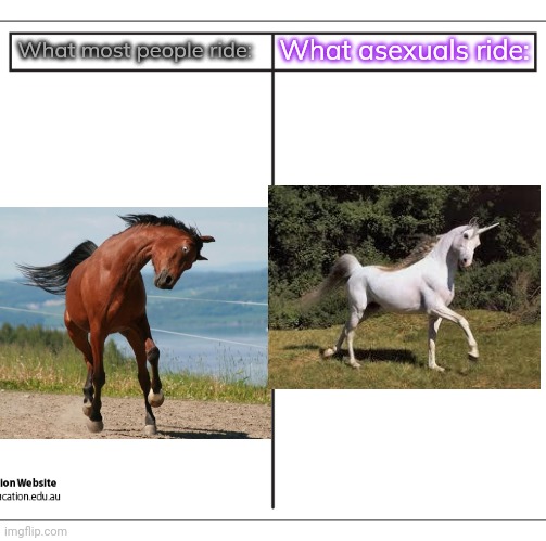 Only the pure may approach a unicorn. | What asexuals ride:; What most people ride: | image tagged in t chart,horses,virgin and chad,lgbt | made w/ Imgflip meme maker