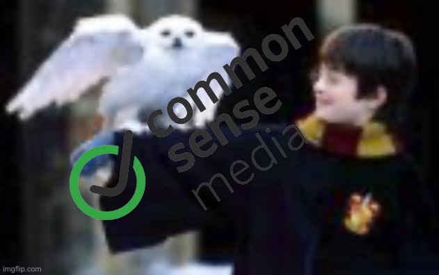 Harry Potter and the Sorcerer's Stone | image tagged in harry potter,deviantart,movie,warner bros,you're a wizard harry,hogwarts | made w/ Imgflip meme maker