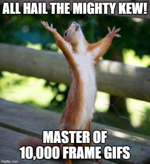 All Hail | ALL HAIL THE MIGHTY KEW! MASTER OF 10,000 FRAME GIFS | image tagged in all hail | made w/ Imgflip meme maker