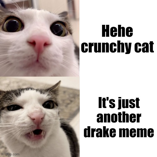 Crunchy cat drake template | Hehe crunchy cat; It's just another drake meme | image tagged in memes,drake hotline bling | made w/ Imgflip meme maker