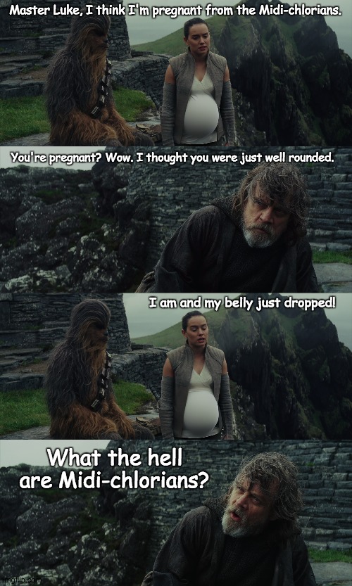 Master Luke, I think I'm pregnant from the Midi-chlorians. You're pregnant? Wow. I thought you were just well rounded. I am and my belly just dropped! What the hell are Midi-chlorians? | image tagged in pregnant rey,luke skywalker | made w/ Imgflip meme maker