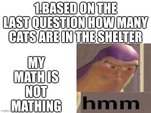 MY MATH IS NOT MATHING; 1.BASED ON THE LAST QUESTION HOW MANY CATS ARE IN THE SHELTER | made w/ Imgflip meme maker
