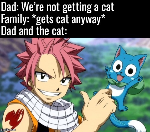 Fairy Tail Memes Happy | Dad: We’re not getting a cat 
Family: *gets cat anyway* 
Dad and the cat:; ChristinaO | image tagged in memes,fairy tail,fairy tail memes,fairy tail meme,happy fairy tail,anime meme | made w/ Imgflip meme maker