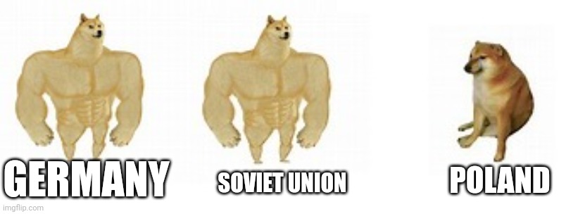 2 buff doge vs 1 cheems | GERMANY; POLAND; SOVIET UNION | image tagged in 2 buff doge vs 1 cheems | made w/ Imgflip meme maker